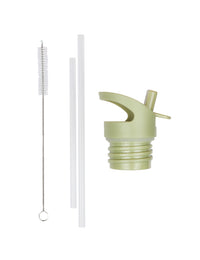 Lid, straw & brush set: Dinosaurs