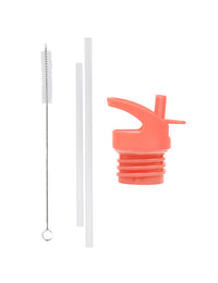 Lid, straw & brush set: Fun