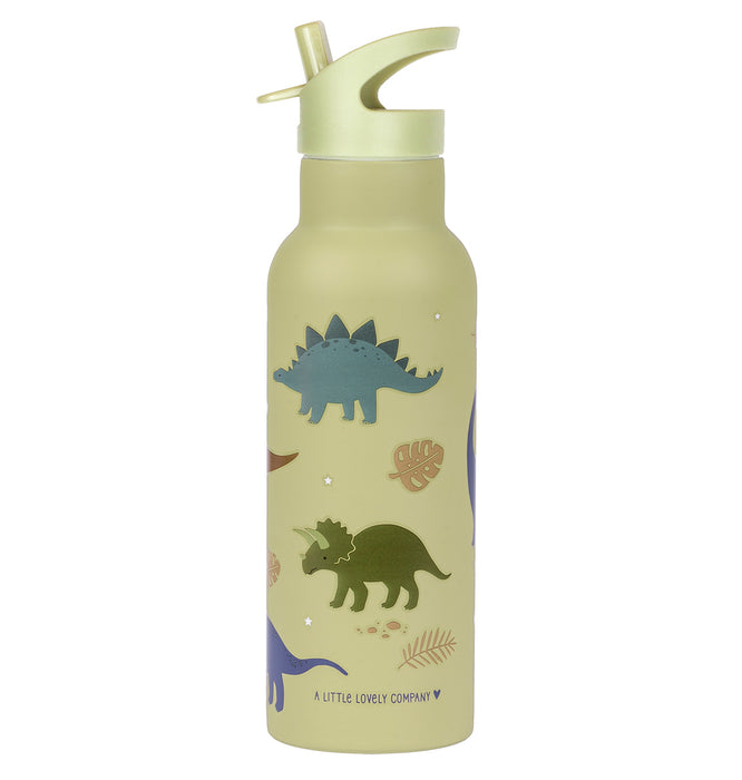 XL stainless steel drink bottle: Dinosaurs