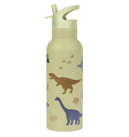 XL stainless steel drink bottle: Dinosaurs