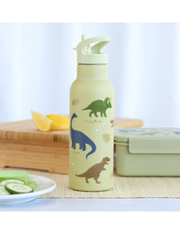XL stainless steel drink bottle: Dinosaurs