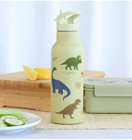 XL stainless steel drink bottle: Dinosaurs