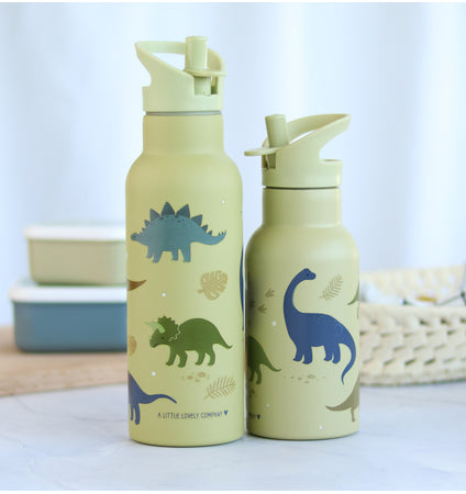 XL stainless steel drink bottle: Dinosaurs