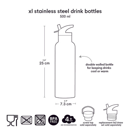 XL stainless steel drink bottle: Dinosaurs