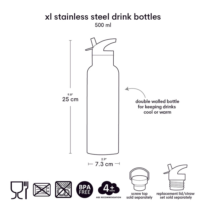 XL stainless steel drink bottle: Dinosaurs