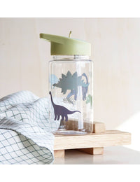 Drink bottle: Dinosaurs