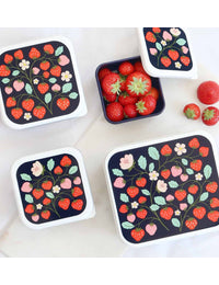 Lunch & snack box set: Strawberries