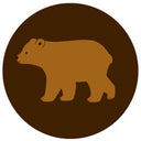 Bears