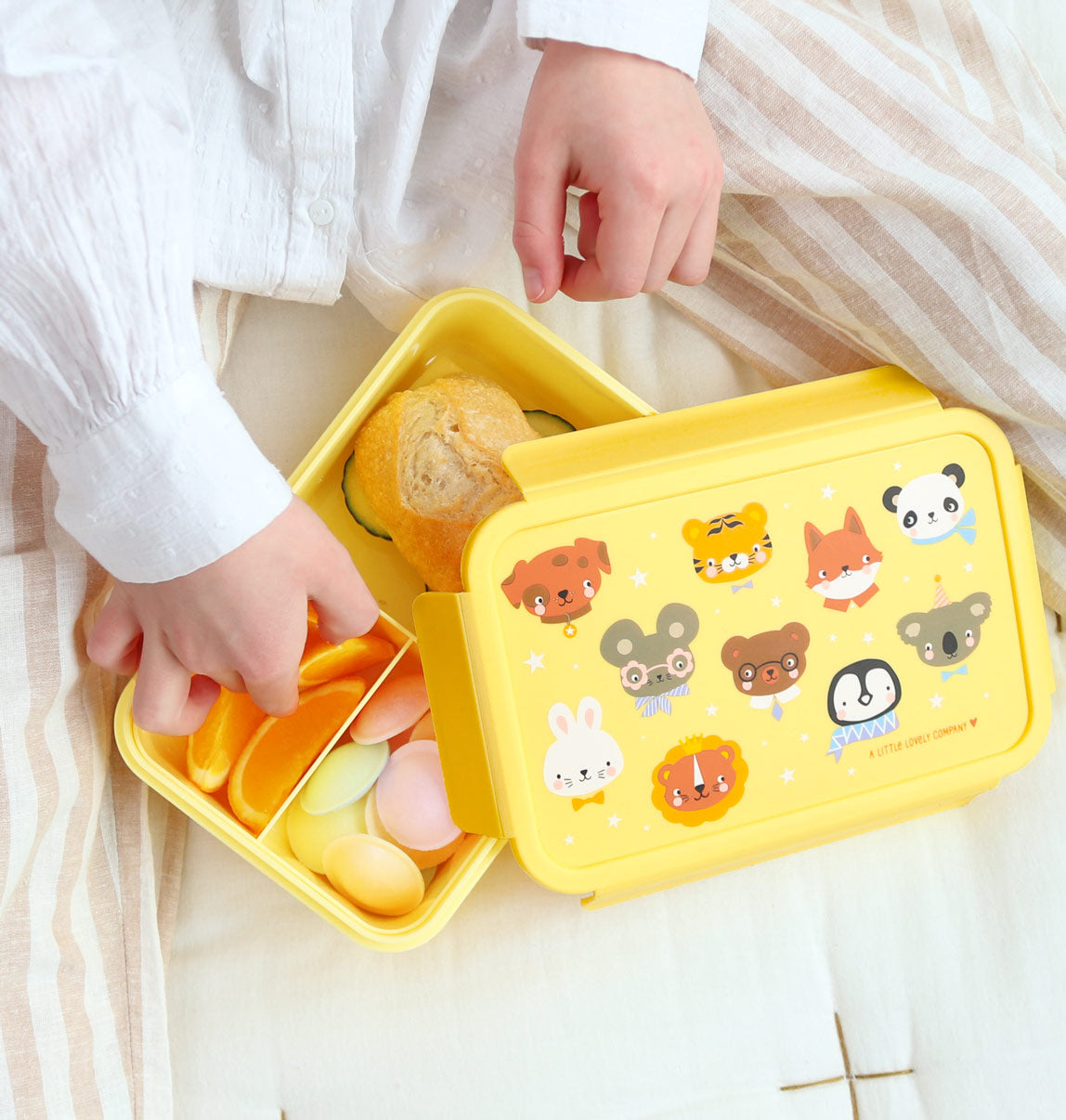 Bento lunch box: Animal friends