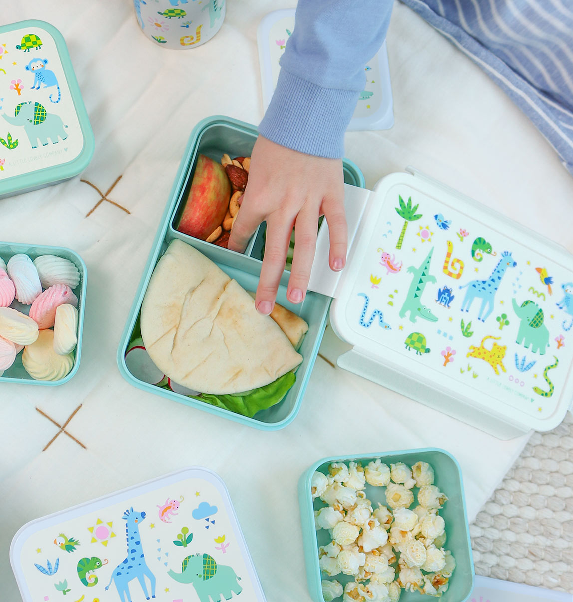 Bento lunch box: Jungle