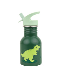 Little stainless steel drink bottle: Dinosaur