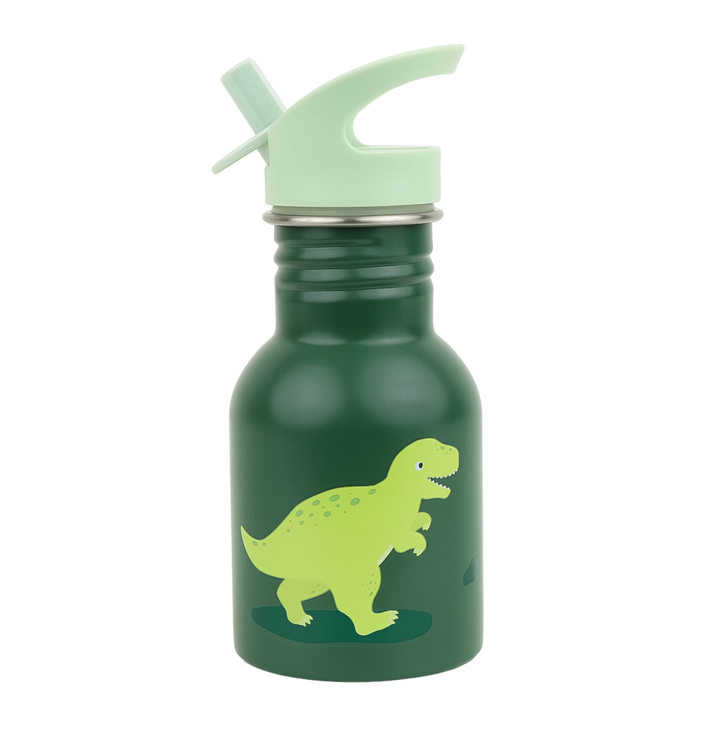 Little stainless steel drink bottle: Dinosaur