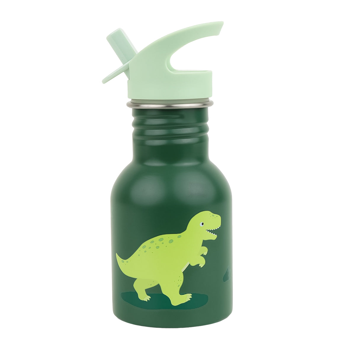 Little stainless steel drink bottle: Dinosaur