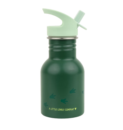 Little stainless steel drink bottle: Dinosaur