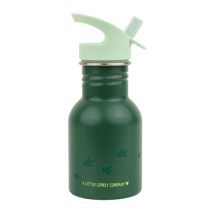 Little stainless steel drink bottle: Dinosaur