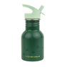 Little stainless steel drink bottle: Dinosaur