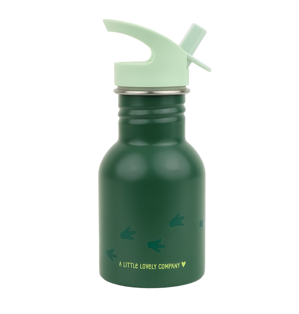Little stainless steel drink bottle: Dinosaur