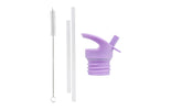 Lid, straw & brush set: Princesses