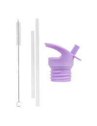 Lid, straw & brush set: Princesses