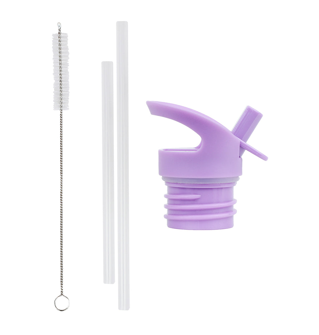 Lid, straw & brush set: Princesses