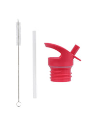 Lid, straw & brush set: Happy cherries