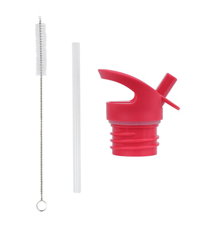 Lid, straw & brush set: Happy cherries