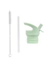Lid, straw & brush set: Dinosaur