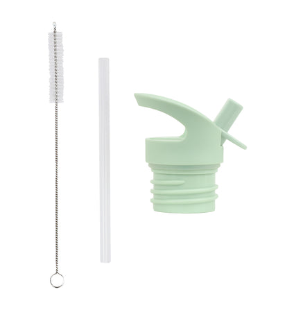 Lid, straw & brush set: Dinosaur