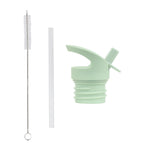 Lid, straw & brush set: Dinosaur