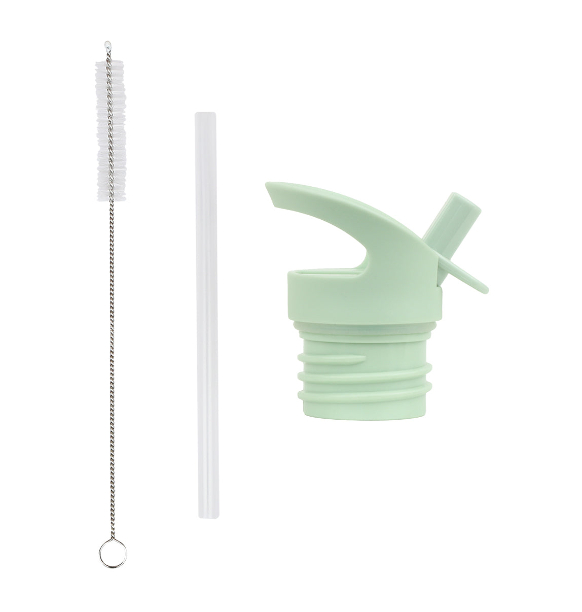 Lid, straw & brush set: Dinosaur