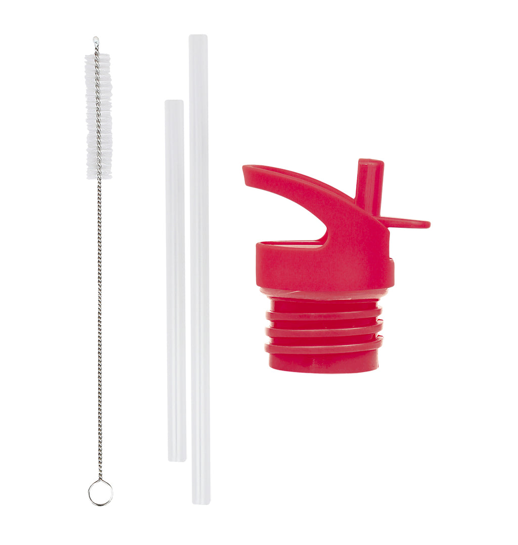 Lid, straw & brush set: Cherries