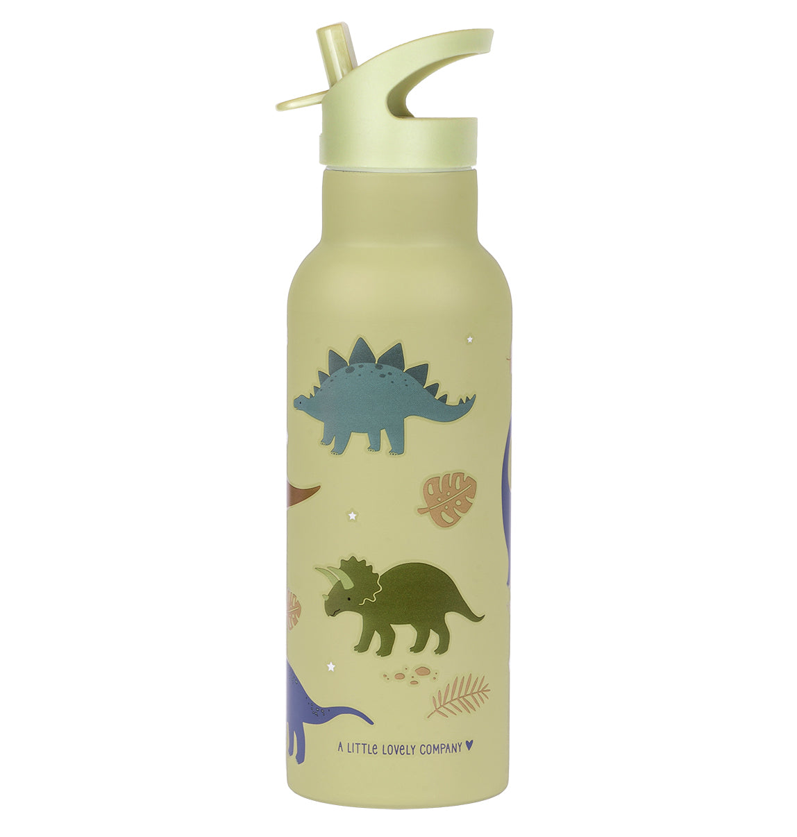 XL stainless steel drink bottle: Dinosaurs
