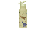 XL stainless steel drink bottle: Dinosaurs