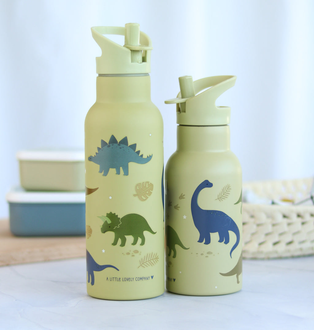 XL stainless steel drink bottle: Dinosaurs