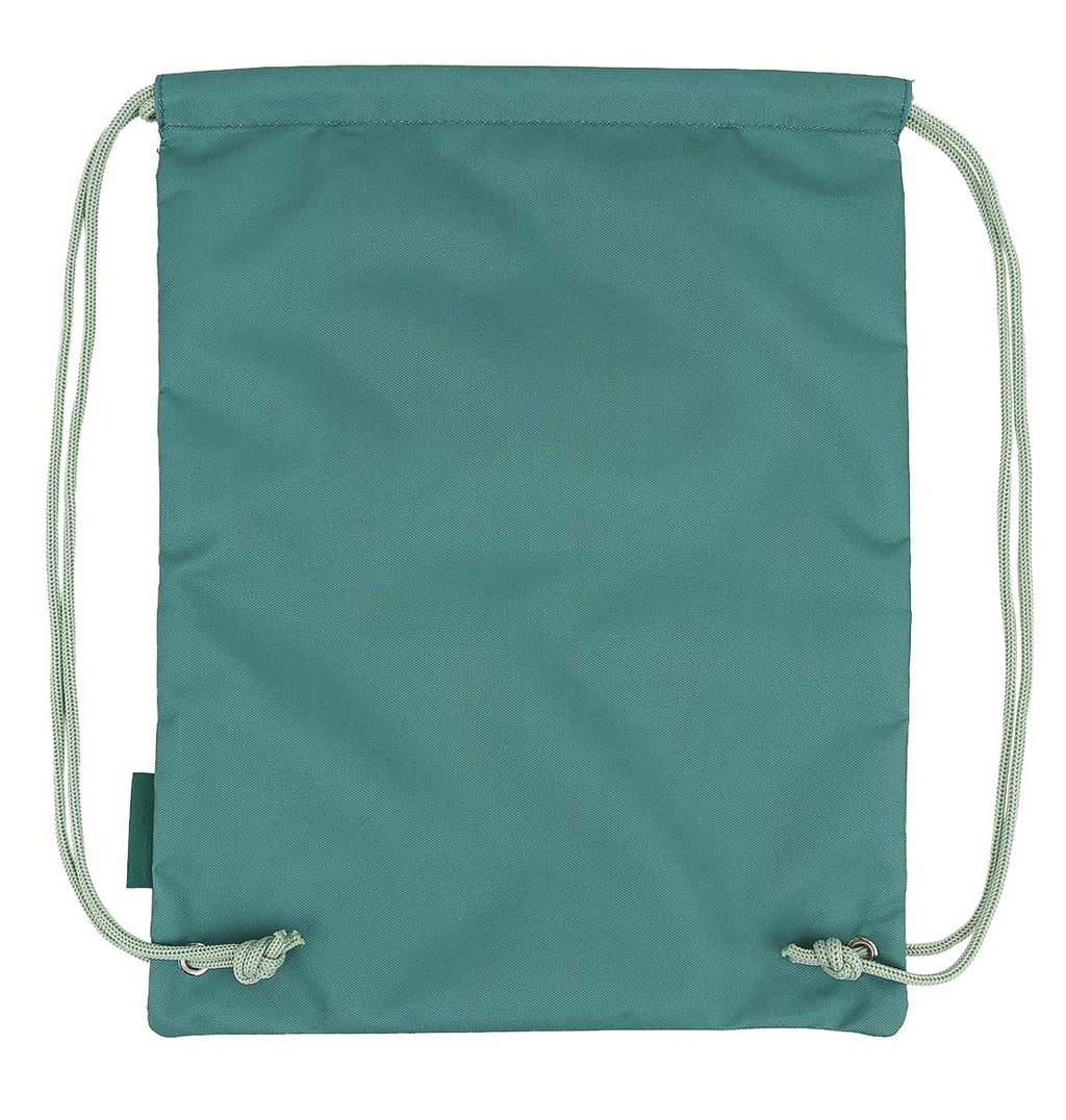 Drawstring bag: Dinosaur