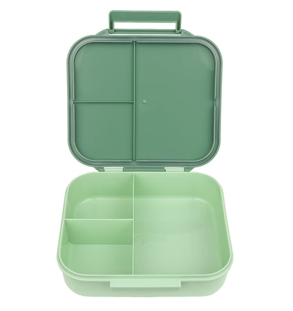 Lunch box: Dinosaur
