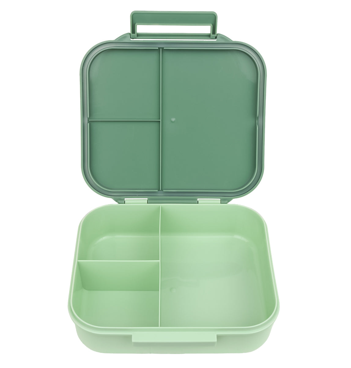 Lunch box: Dinosaur
