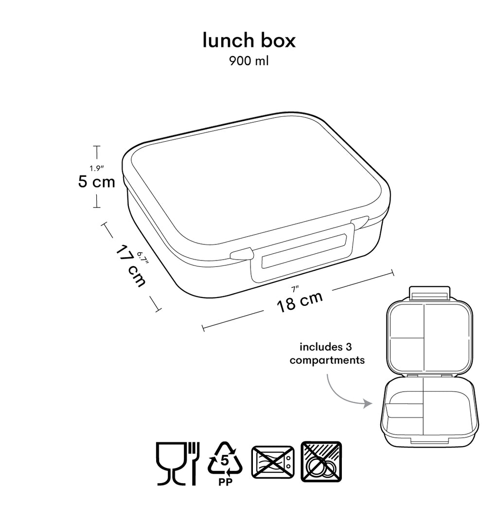 Lunch box: Dinosaur