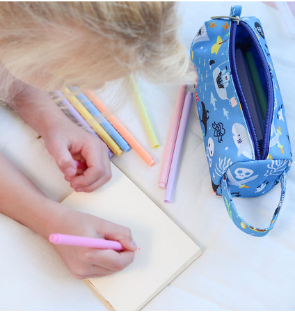 Pencil case: Pirates