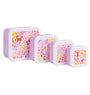 Lunch & snack box set: Flower garden 