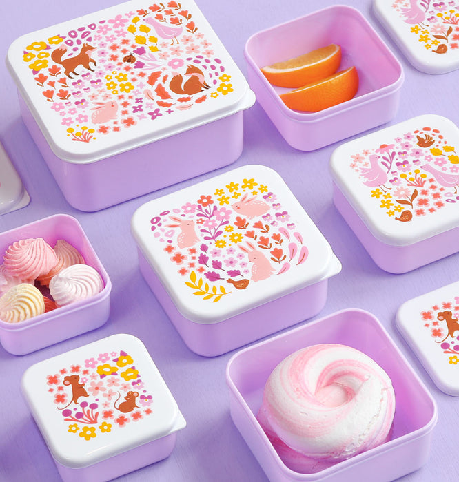 Lunch & snack box set: Flower garden 
