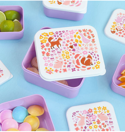 Lunch & snack box set: Flower garden 