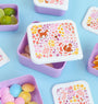 Lunch & snack box set: Flower garden 