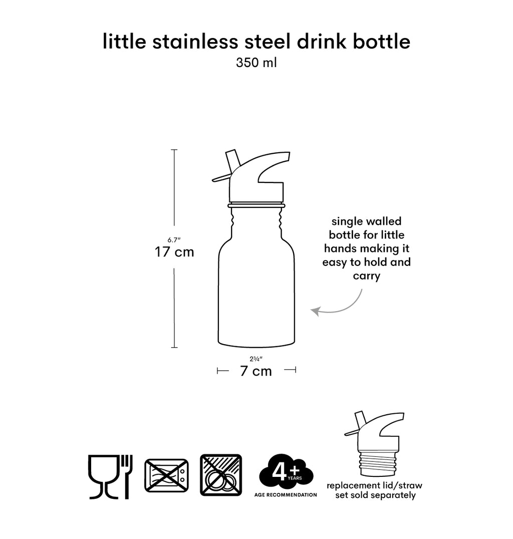 Little stainless steel drink bottle: Dinosaur