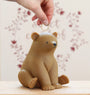 Money box: Bear