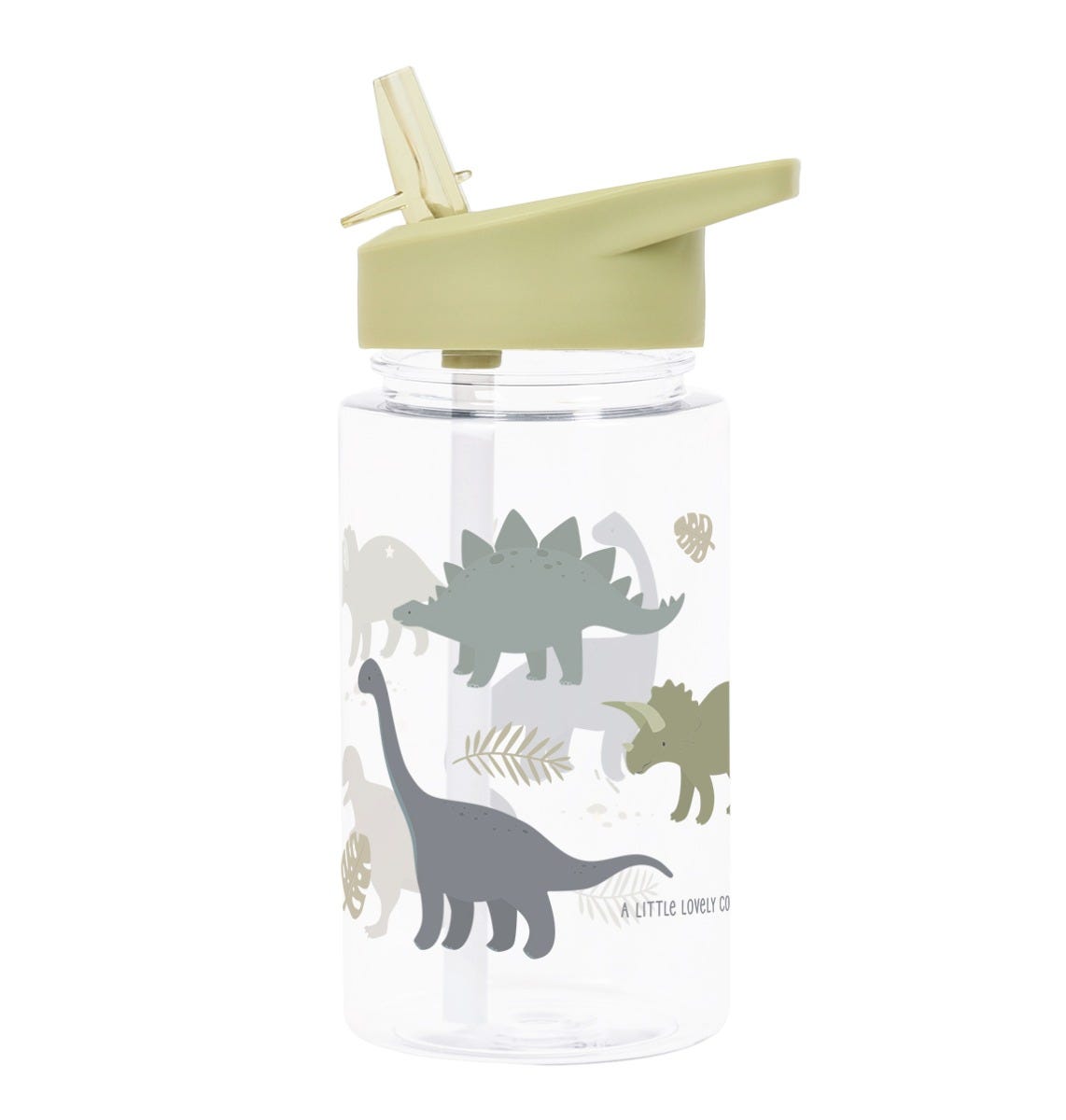 Drink bottle: Dinosaurs