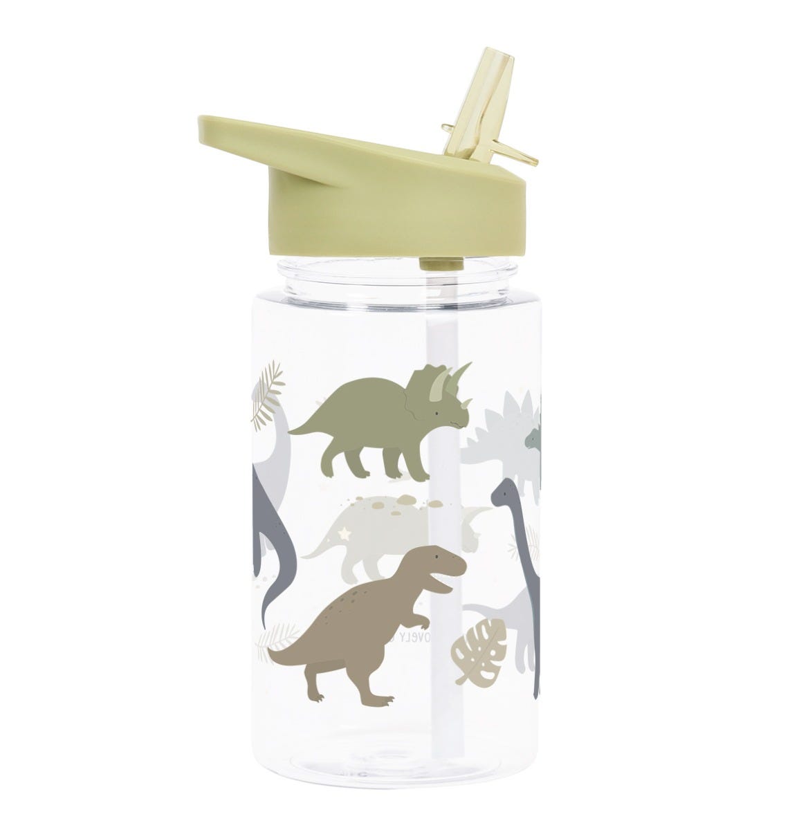Drink bottle: Dinosaurs