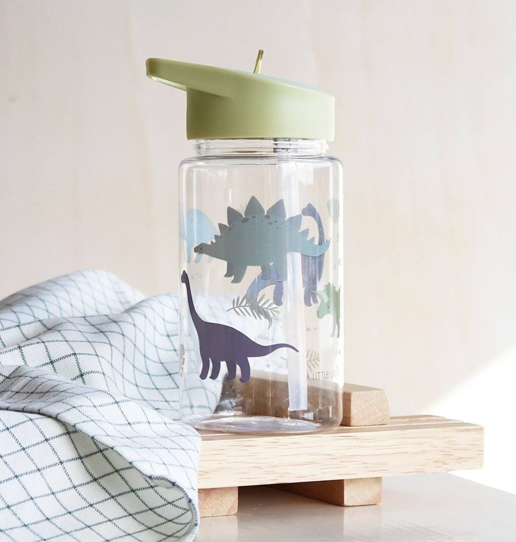 Drink bottle: Dinosaurs