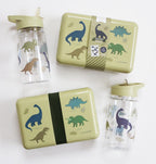 Drink bottle: Dinosaurs