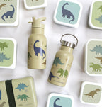 Stainless steel drink bottle: Dinosaurs